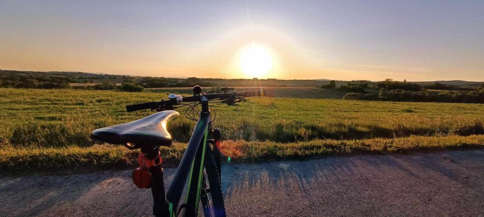 Green Gold Caglin Eksteriør bilde